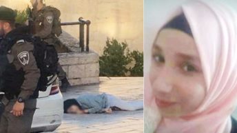 This week in Palestine: Mass hunger strike continues, Israeli forces kill Palestinian girl
