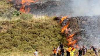 MEMO: Jewish settlers burn Palestinian farms in Nablus