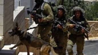 Israeli Army Invades Homes In Hebron, Confiscates Cash