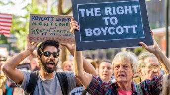 In America, the Right to Boycott Israel Is Under Threat. This Is Why That’s Cause for Concern