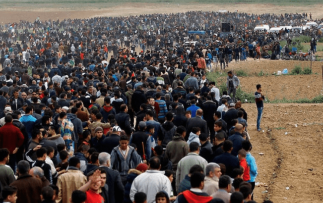 Facts & latest news on Gaza Great March of Return (periodically updated)