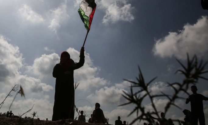 ‘Sometimes dancing, sometimes furious’: a girl shot dead in Gaza