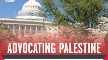As Israel continues to kill children with impunity, urge lawmakers to support H.R. 4391