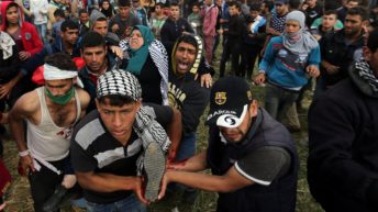 OCHA oPt: Humanitarian snapshot: mass casualties in the Gaza strip