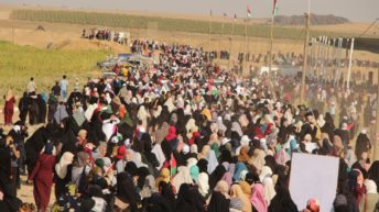 Gaza Women’s March – News Roundup