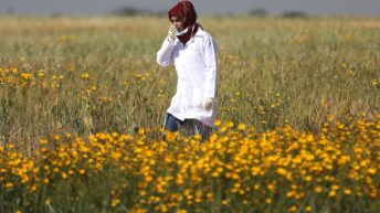 NYT investigation concludes Razan Al-Najjar’s death was unnecessary, may be a war crime