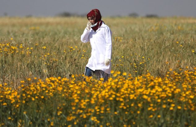 NYT investigation concludes Razan Al-Najjar’s death was unnecessary, may be a war crime