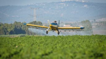 Israel spraying herbicides inside Gaza violates int’l law, rights groups say