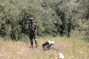 Israeli soldiers shoot bound Palestinian teen