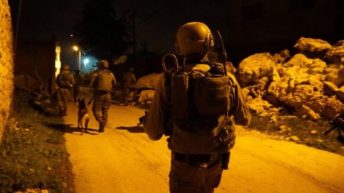 Israelis bulldoze land, abduct 13, attack fishermen, invade Gaza, etc