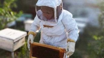 Five women, five stories of entrepreneurship and ingenuity. Gaza, 2020