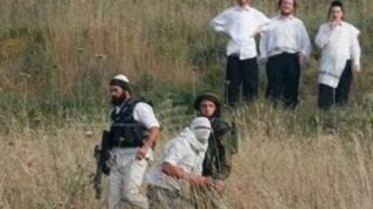 Israelis injure infants, shoot, assault & abduct Palestinians, destroy crops, etc