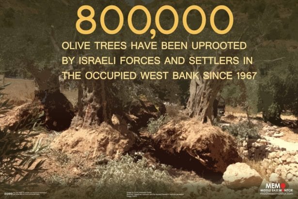 Israeli occupation of Palestine is devastating the natural environment