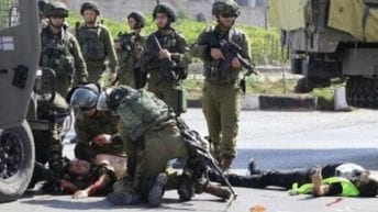 Israeli forces kill 24-year-old, injure, abduct Palestinians, uproot 1,000 trees, Jan. 4-6
