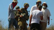 Israeli Colonizer Fatally Stabs a Palestinian in the Heart