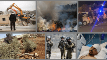 Israeli brutality is nonstop – 3 days of local headlines