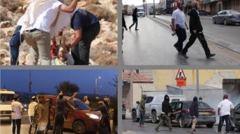 Three eyewitness accounts of Israeli settler violence