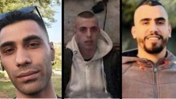 3 more Palestinians dead – one shot in the head for honking his horn