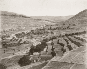 BATTIR - View of railway track in Wadi Battir, with agricultural terraces of the village on the right in1892