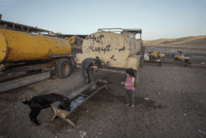 Palestinian Bedouins drink water from a cistern near the village of Bardala in the Jordan Valley, Tuesday, Aug.8, 2023.