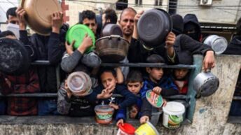 “Children eat rotten food, adults hunt cats: famine is coming for Gaza” – Day 85