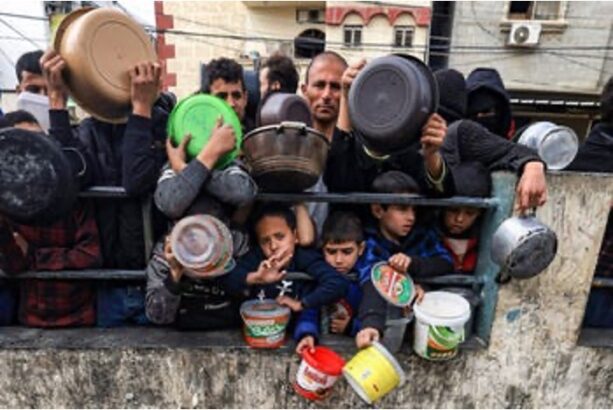 “Children eat rotten food, adults hunt cats: famine is coming for Gaza” – Day 85