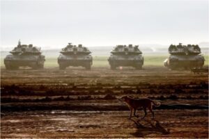 A dog walks near Israeli battle tanks deployed at a position along the border with the Gaza Strip.