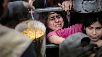Enough food is waiting across Gaza’s borders to feed entire population – Day 142