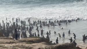 At least 12 Palestinians were drowned as they tried to reach aid dropped by the US which fell into the sea