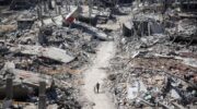 More aid workers killed in Gaza in a few weeks than in any of the last 26 years world wide  – Day 179