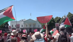 Last weekend, thousands of Gaza war protesters held a “red line” rally near the White House, voicing anger at US President Joe Biden’s tolerance of Israel’s bloody war in Gaza.
