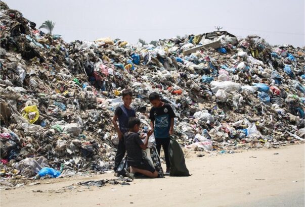 Children of Gaza live amid sewage, trash, insects – and famine – Day 241