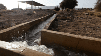 ‘Buying Our Own Stolen Water’ in Bethlehem – Scorching Summer Awaits Palestinians in the West Bank