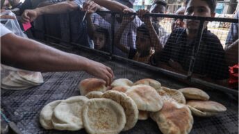 What does it take to get a loaf of bread in Gaza? – Day 412