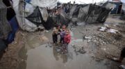 Cold, wet, starving: everyday desperation in Gaza – Day 414