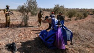 Israeli forces and settlers have prevented Palestinian farmers from harvesting olives