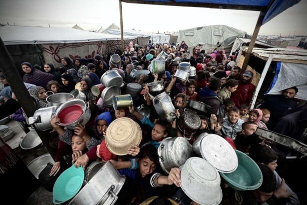 As hunger crisis grows, 3 Palestinians killed in Gaza bread stampede – Day 419