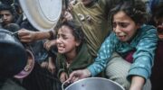 In Gaza, Israel carrying out ‘fastest starvation campaign in modern history’: Gaza in limbo Day 12