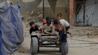 Israel believes Gazans “will adapt” to famine; more Israeli lies laid bare – War on Gaza Day 564