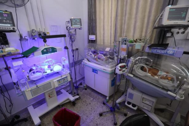 Babies in Gaza Die Preventable Deaths Due to Medical Shortages Imposed by Israel Babies in Gaza Die Preventable Deaths Due to Medical Shortages Imposed by Israel