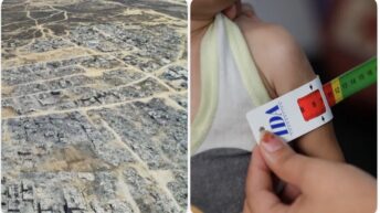 As Israel flattens cities, 650,000 children await famine – War on Gaza Day 645