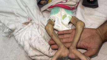 As babies starve, Israeli military destroys 1,000 trucks’ worth of aid – War on Gaza Day 658