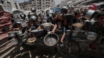 Netanyahu is obviously lying about “no starvation” – War on Gaza Day 663