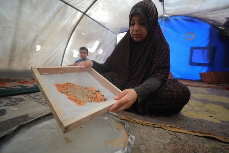 A Palestinian woman sifts a handful of discarded lentils in order to separate the edible bits from the sand and gravel.