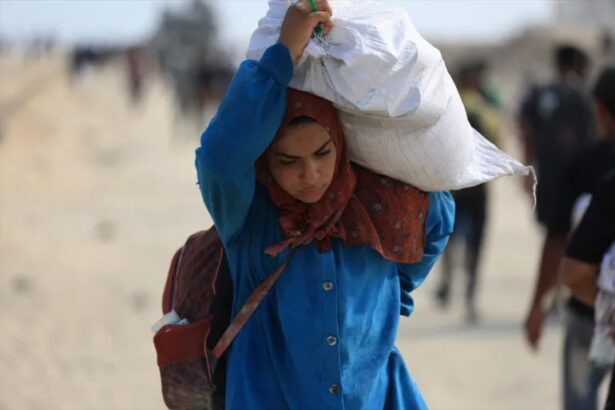 A Guardian investigation shows an Israeli pattern of firing on Palestinians seeking food.