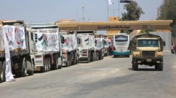 40,000 Gaza babies malnourished, as Israel blocks aid on technicalities – War on Gaza Day 678