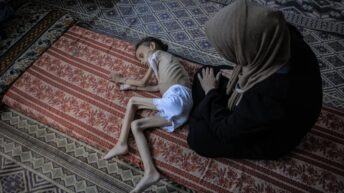 Israeli (and US) impunity brings relentless starvation, death – War on Gaza Day 666