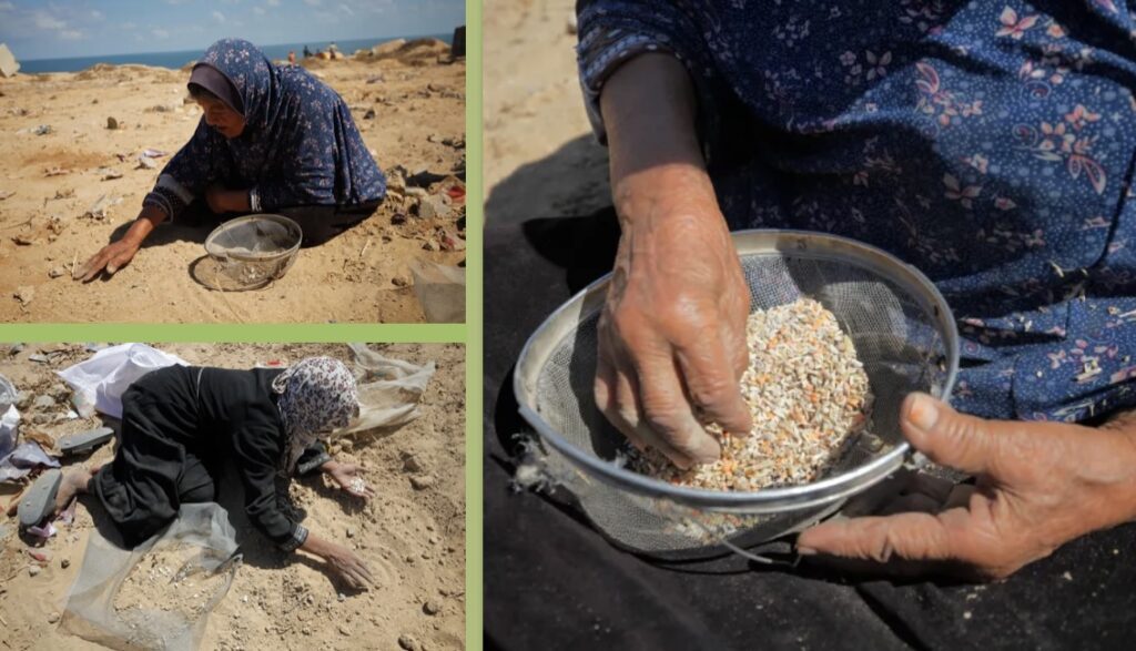 Palestinian women try to pick rice, lentils, and beans out of sand, from aid packages that were dropped from the air and scattered upon impact in Gaza City