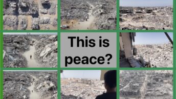 Cautious optimism: Ceasefire in Gaza – Day 1