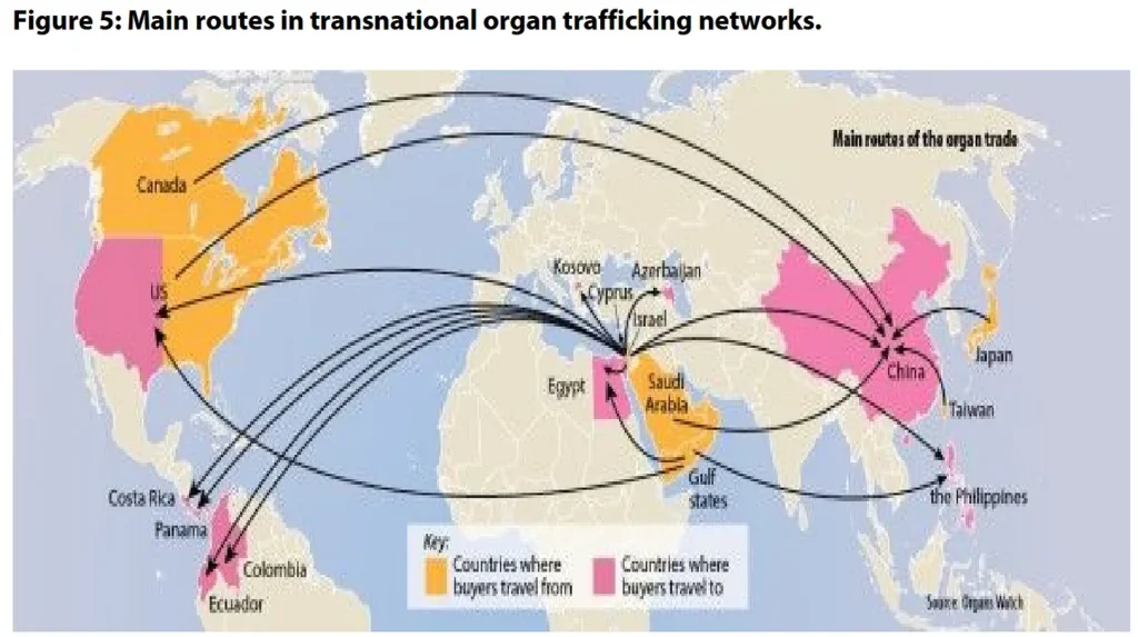 Global organ trafficking map.